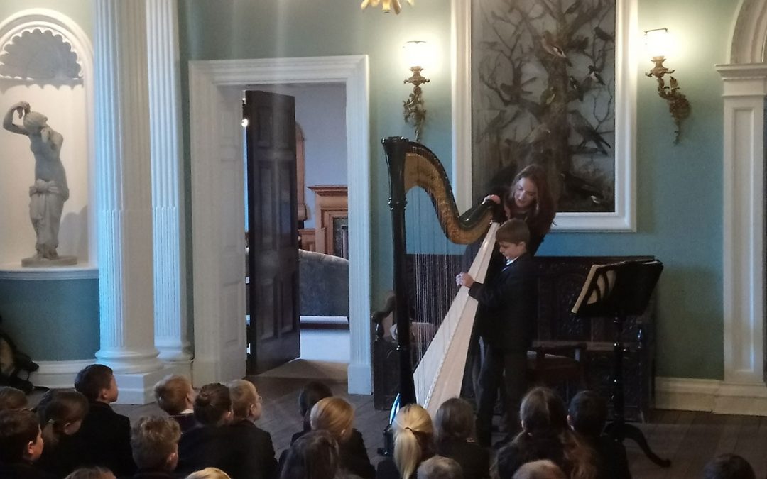 Harp recital a musical delight